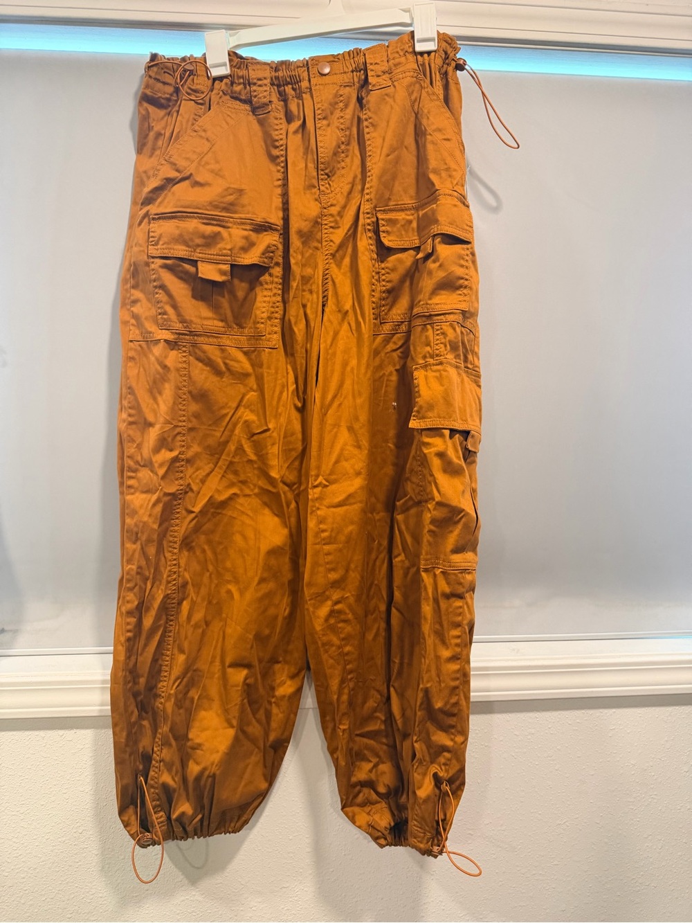 Forever 21 Cargo Pants in Rust